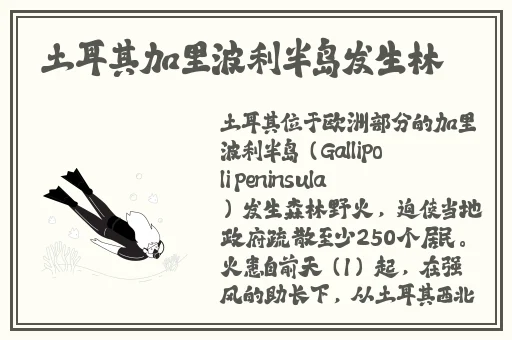 日本乱码一卡二卡3卡四卡网站